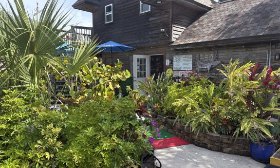 The entrance to Anastasia Miniature Golf is surrounded by local plants