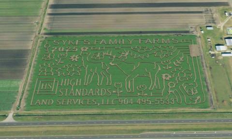 The above view of the crop maze in 2025