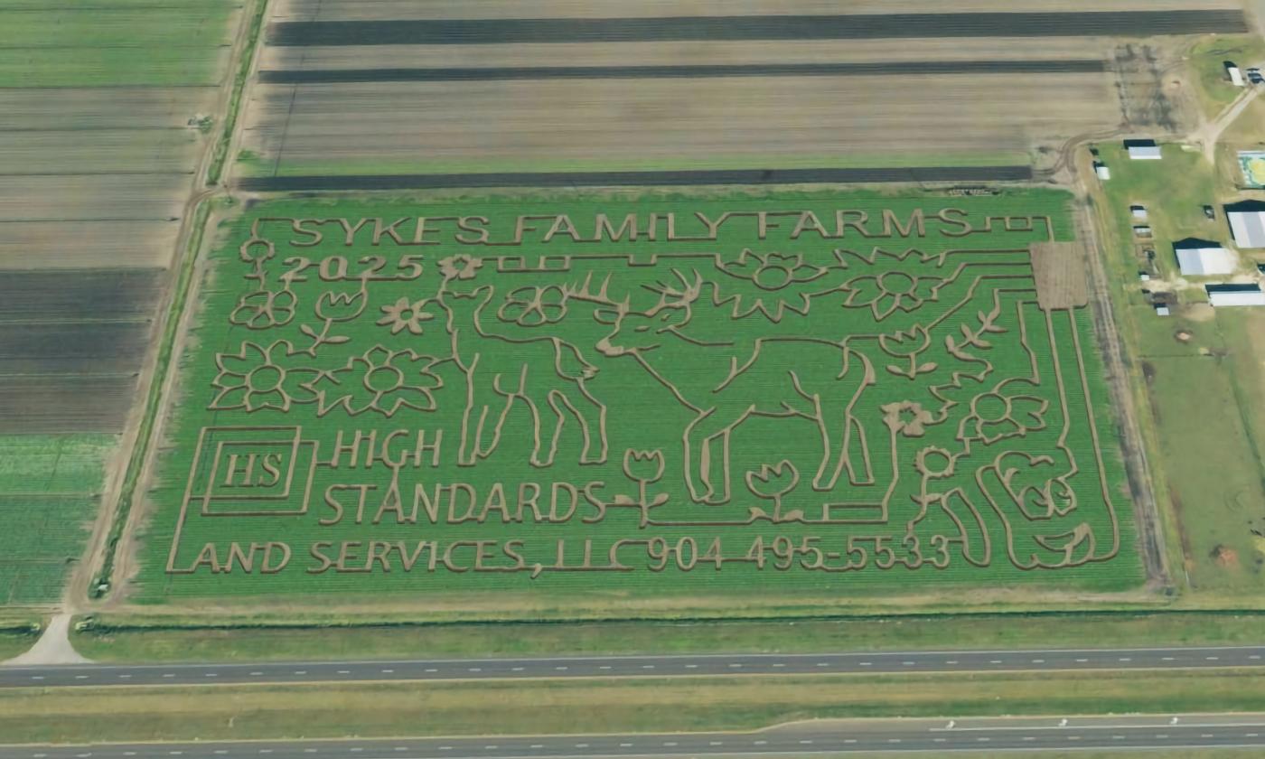 The above view of the crop maze in 2025