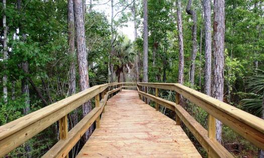 The Tolomato River Boardwalk